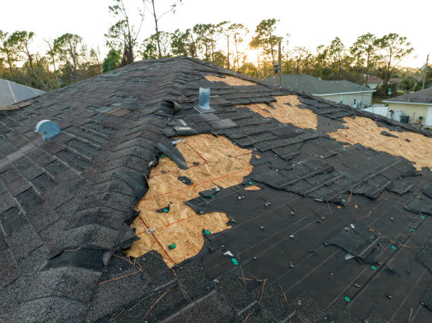 Best Skylight Installation and Repair  in Rancho Viejo, TX