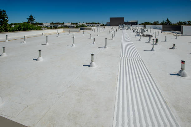 Best Roof Insulation Installation  in Rancho Viejo, TX